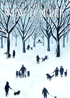 The New Yorker (5)