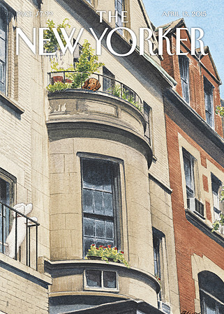 The New Yorker (4)