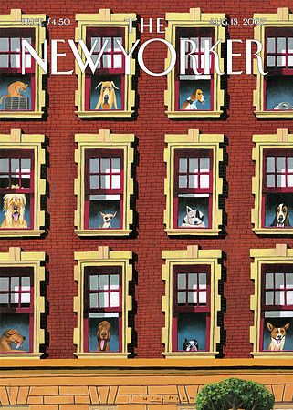The New Yorker (18)